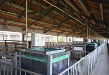 Veterinary Biotechnology Veterinary Biotechnology