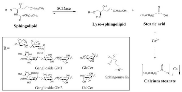 Lyso-glycosphingolipid